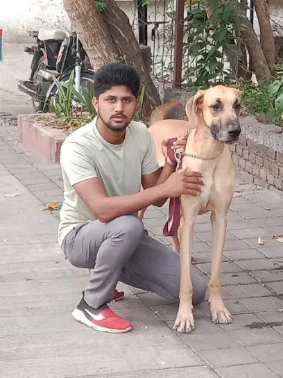 Vidya Dog Walking Services, Pune