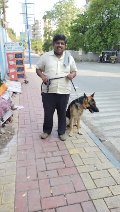 Vivek Pet's Dog Walking Services Pune