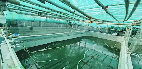 Aqua Kingdom Biofloc Fish Farming And Training Centre