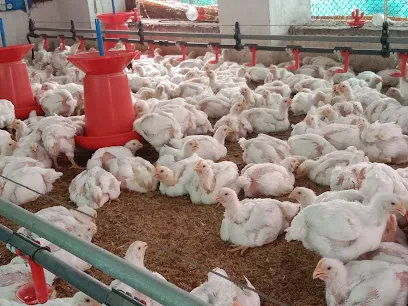 S.K Poultry Farm