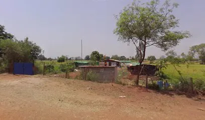 Sonkar Desi Poultry Farm Raipur Chhattisgarh