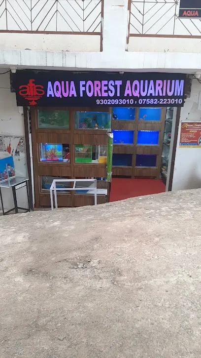 Aqua Forest Aquarium