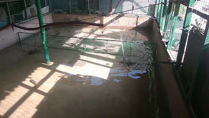 Lakshmi Ganapati Live Fish Center