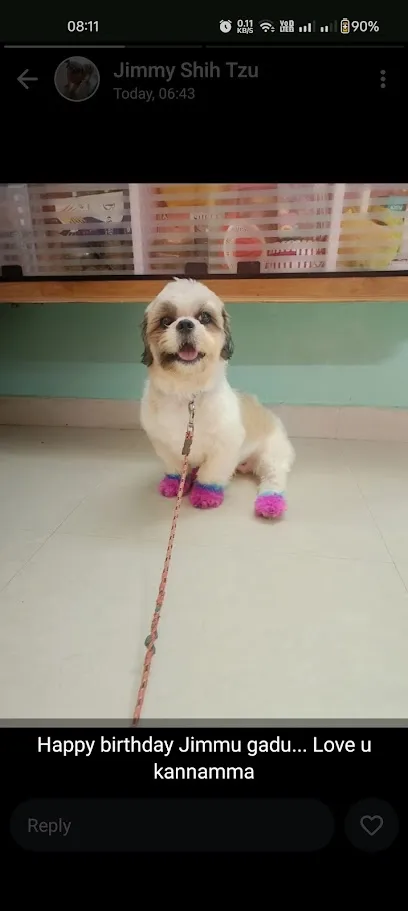 Scoopy Scrub & Pet Bytes - Pet Grooming Salon Rajahmundry