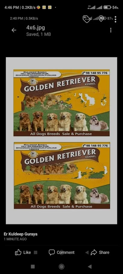 Golden Retriever Kennel Rajindrapuri