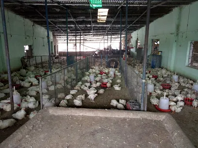 Ammad Poultry Farm