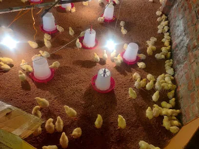 Broiler Farm