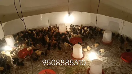 Jharkhand Chicken And Rabbit Farm