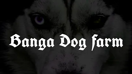 Banga Dog Farm