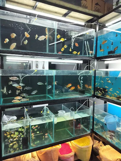 Vasanth Aquariums