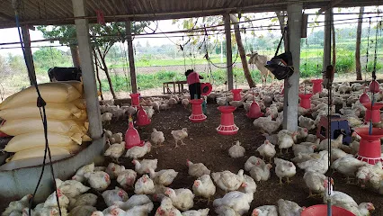 Karthika Poultry Farm