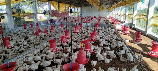 Sri Laxmi Poultry Farm