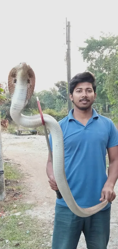 Snake Catcher & Wild Animal Rescuer