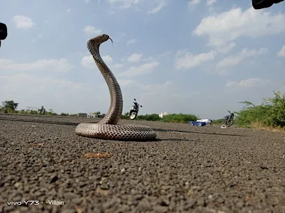 Solapur Sarpmitr Ganesh Tupdole