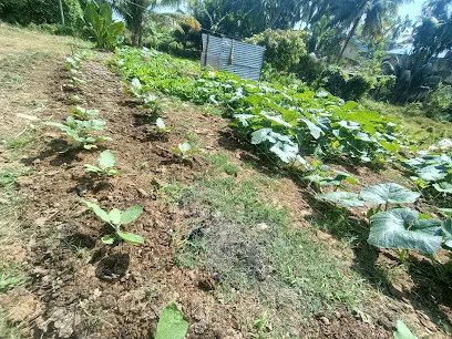 Rishi's Poultry And Vegetables Farm