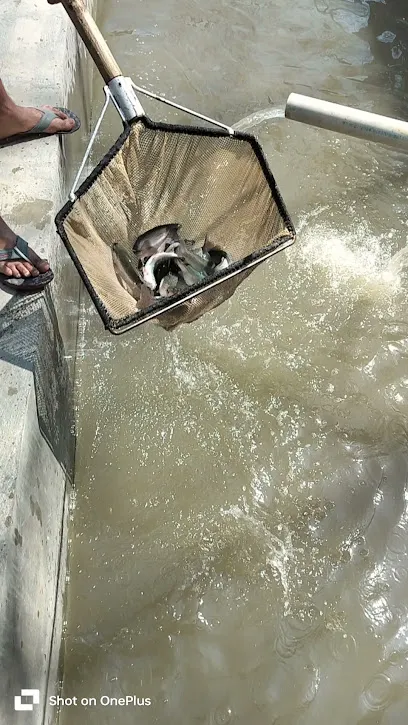 Spring Valley Trout Farm