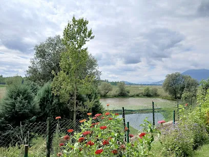 Trout Cum Carp Fish Farm Tcdc Pandach