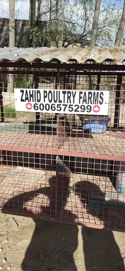 Zahid Poultry Farms