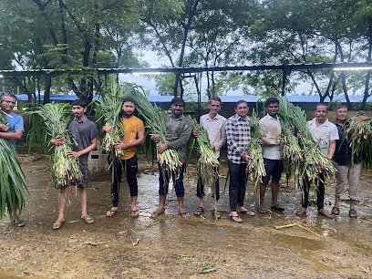 Karuna Sevak Gau Seva Charitable Trust