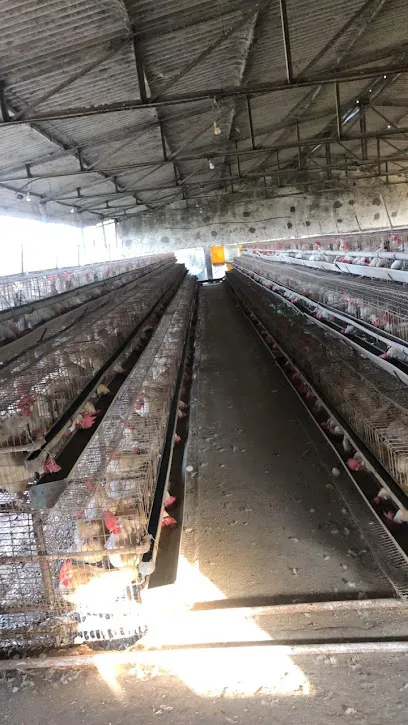 Patel Poultry Farm