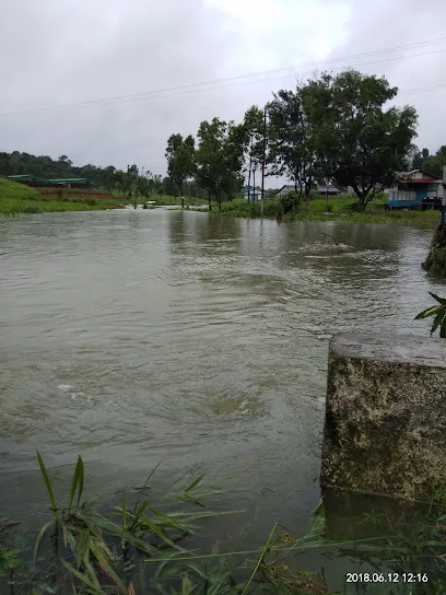 Govt Fish Seed Farm, Thenzawl