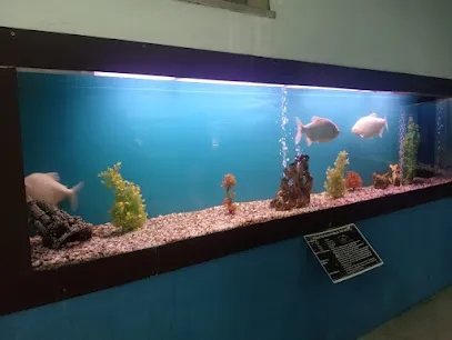 Aquarium Entrance