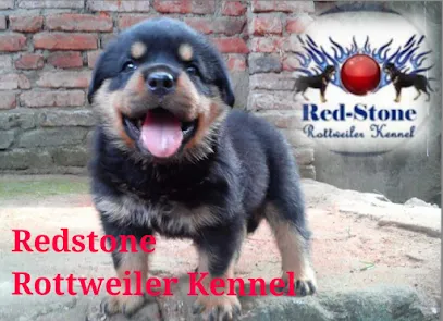 House Of Redstone-Rottweiler Kennels