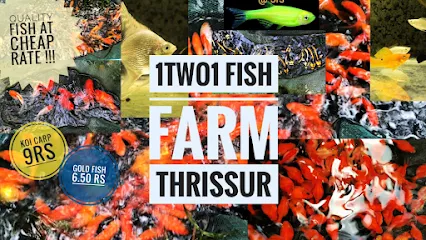 Fish Farm Thrissur