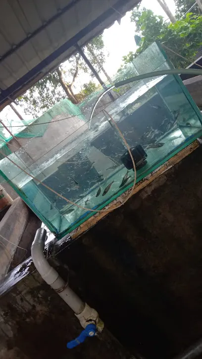 Thaikkattil Aqua Farm