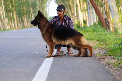 German Shepherd Kennel